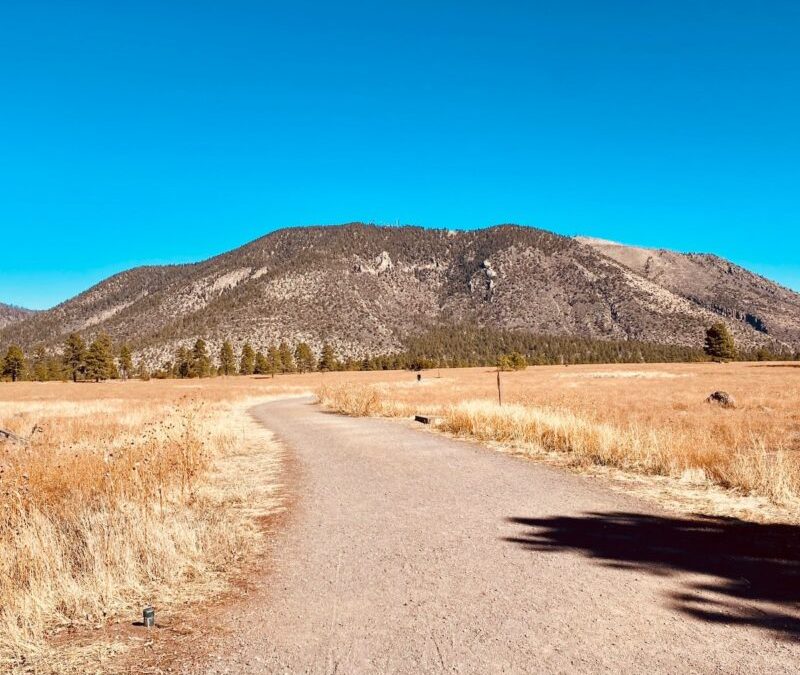 10 Best Hiking Trails In Flagstaff According To The Locals
