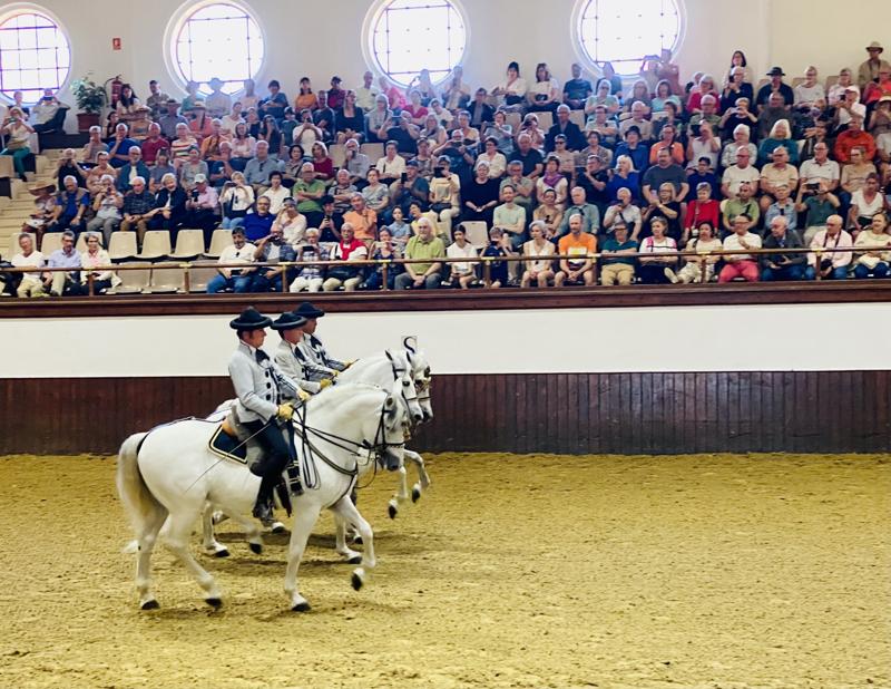 Ultimate Seville Day Trip: Equestrian Shows, Sherry Tasting, and the Feria de Abril