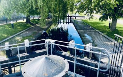 Exploring Dublin’s Royal Canal: A Journey Through Time and Nature