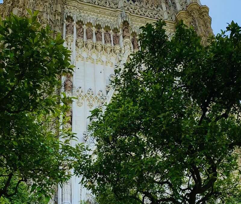 Seville Cathedral